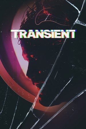 Transient (2025) WEBRIP Hindi (MULTI AUDIO) 720p – 480p – 1080p