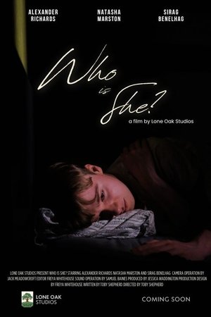 Who is She? (2025) WEBRIP Hindi (MULTI AUDIO) 720p – 480p – 1080p
